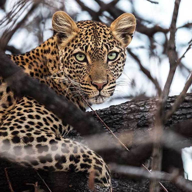 Asilia-Jabali-Ridge-5