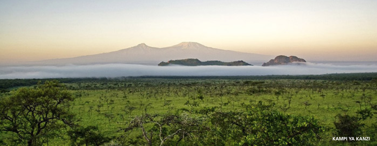 CHYULUS Kampi Ya Kanzi