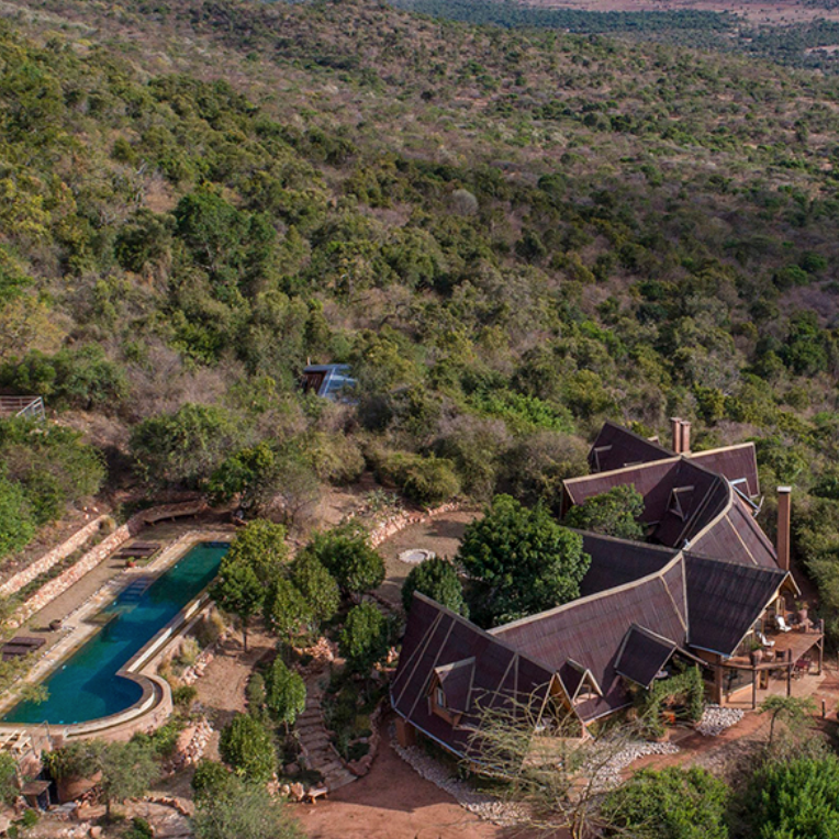 COTTARSBUSH Birdseye