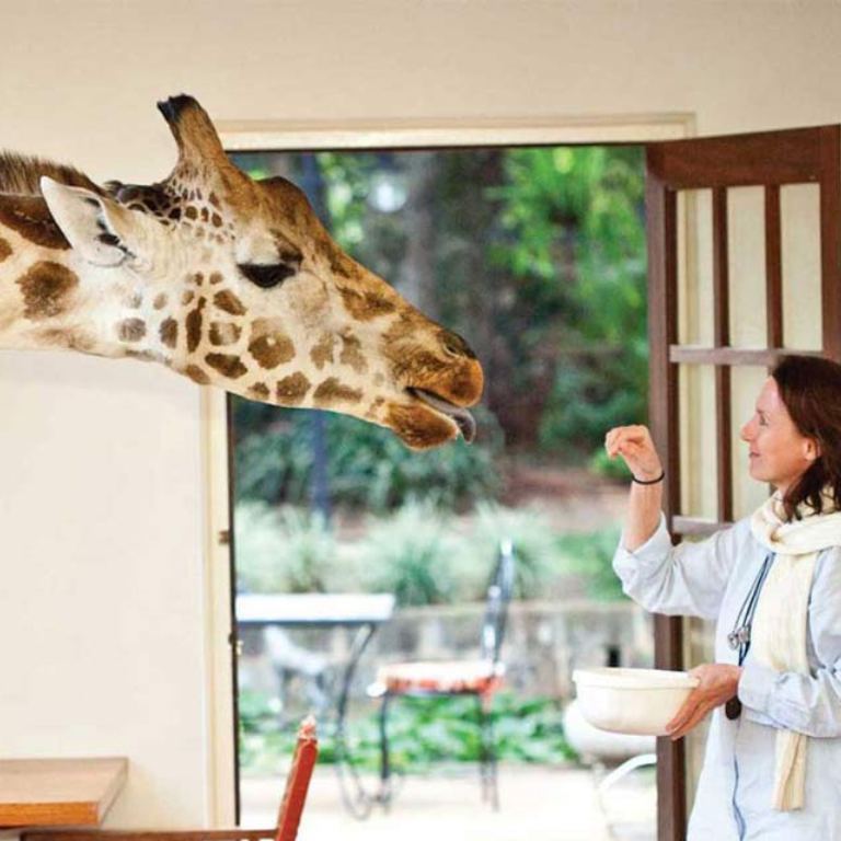 GIRAFFE MANOR (3)