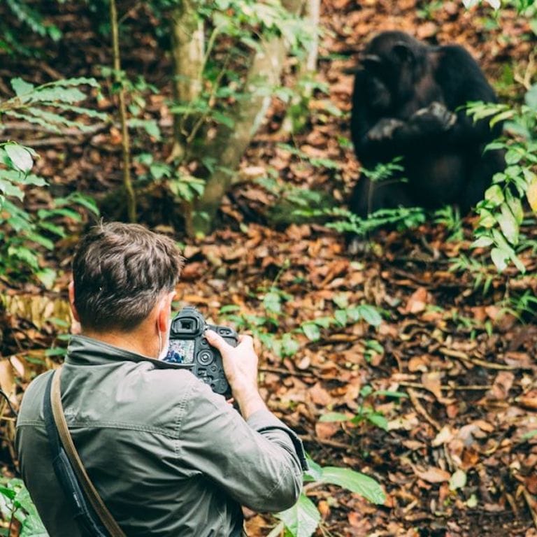 Greystoke-Mahale-Camp-2