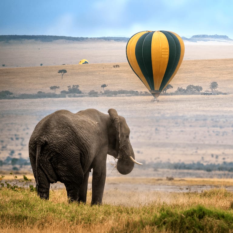 Grumeti-Why-we-love-it-photographers