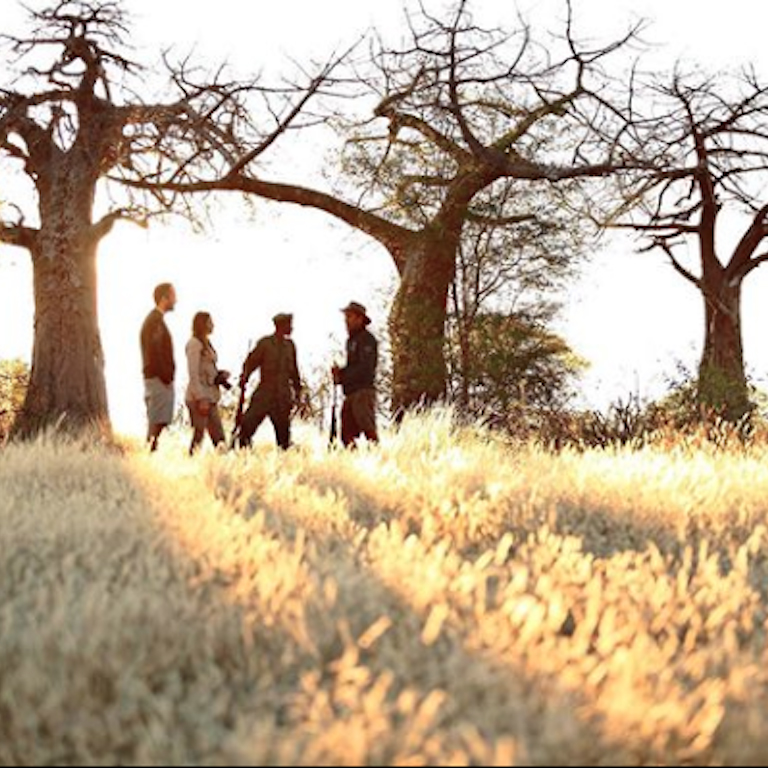 Kichaka-Expeditions-3