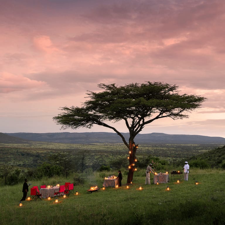 Kleins-Camp-Why-we-love-it-bush-dining