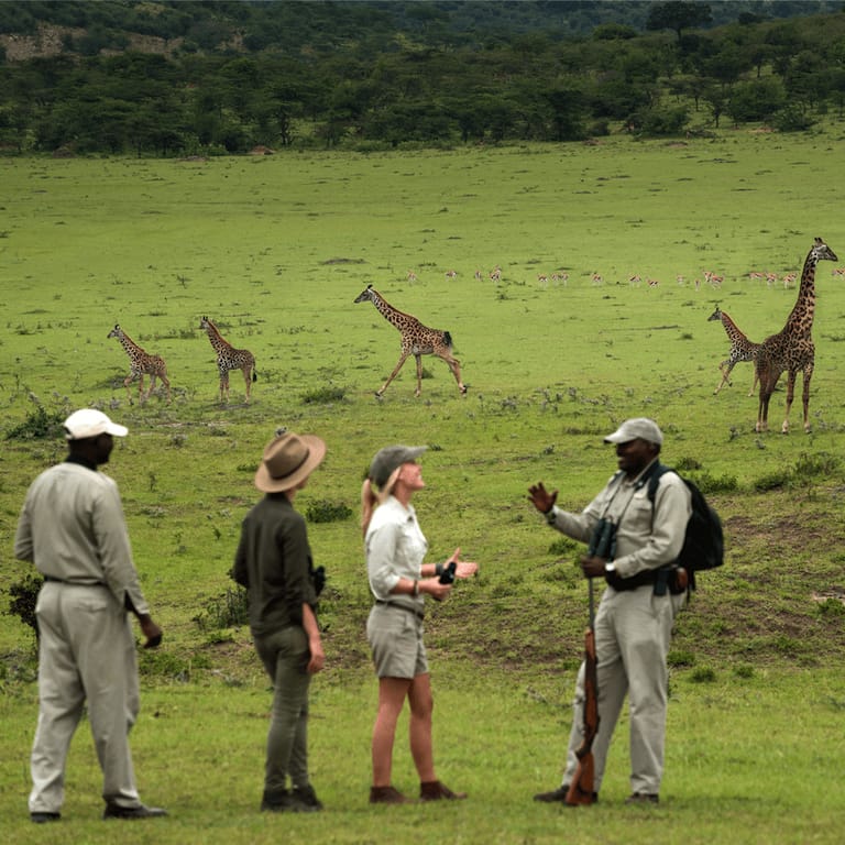 Kleins-Camp-Why-we-love-it-private-consession