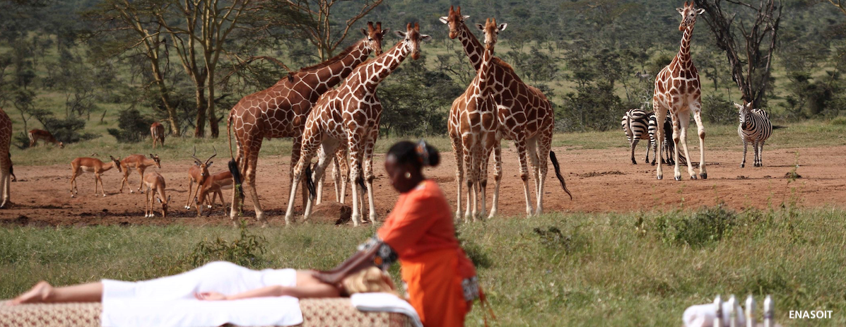 LAIKIPIA Giraffe