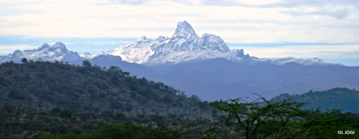 LAIKIPIA Mt Kenya