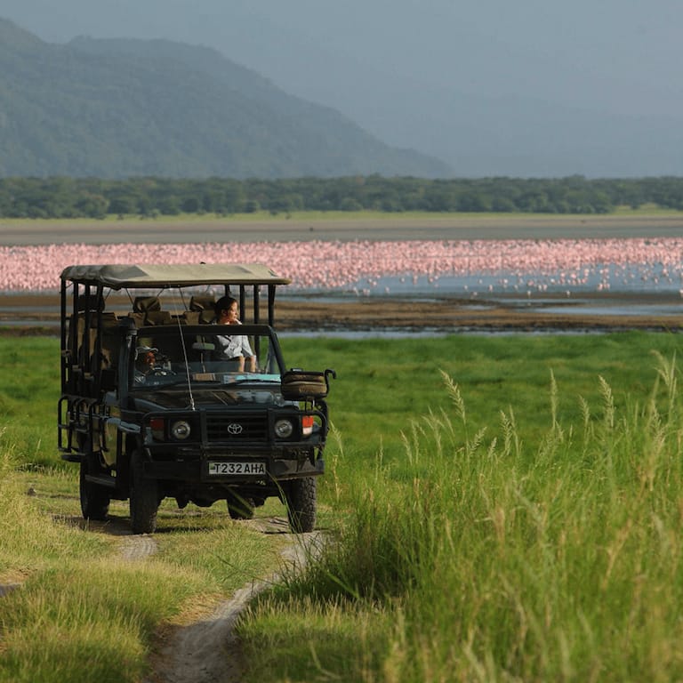 Lake-Manyara-Why-we-love-it-diversity-of-habitat