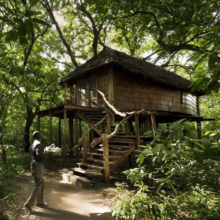 Lake-Manyara-Why-we-love-it-sleep-in-a-treehouse