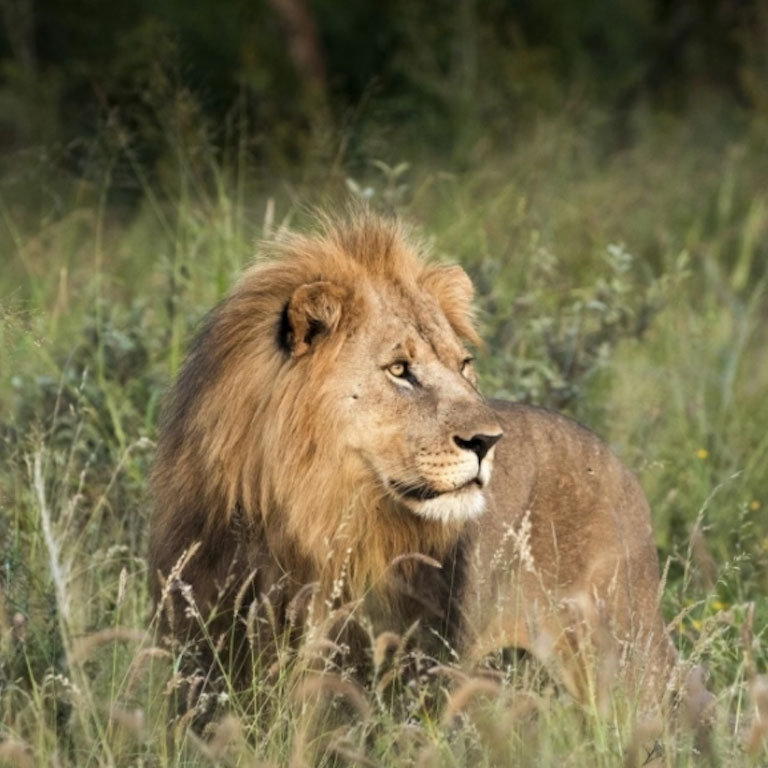 Morukuru-Farmhouse-5