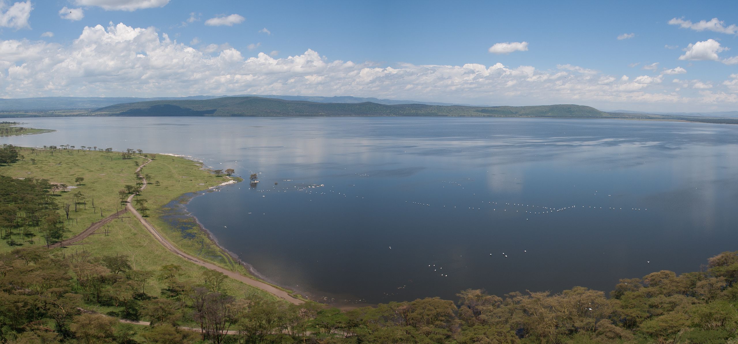 NAIVASHA Lake