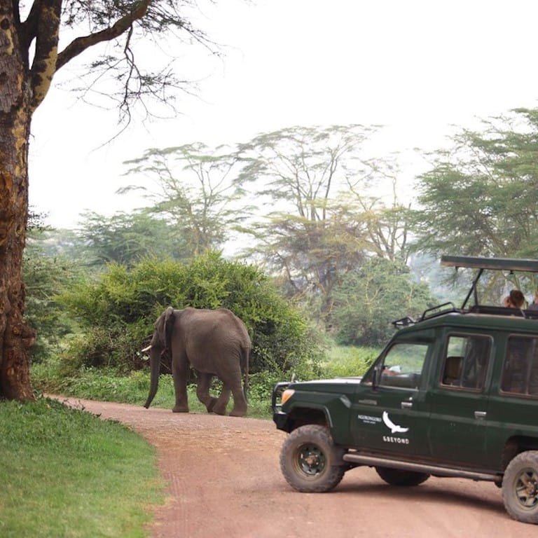Ngorongoro Crater Lodge-1
