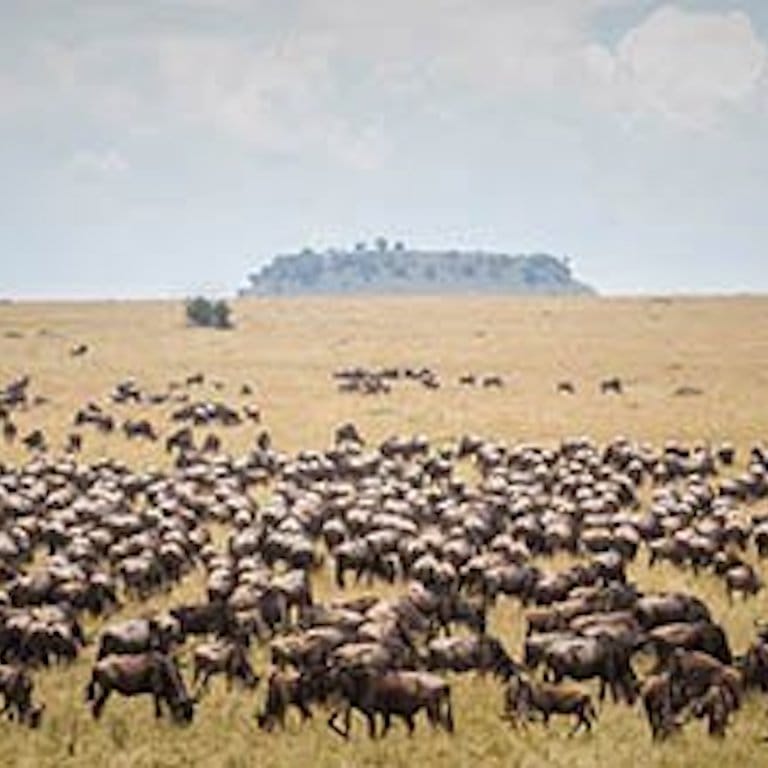 Sayari-Camp-Feature-Image-3