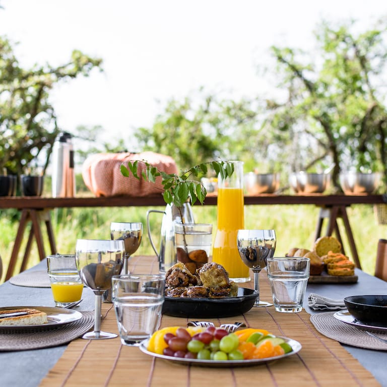 Serengeti Explore Pirvate Villa Collection-4