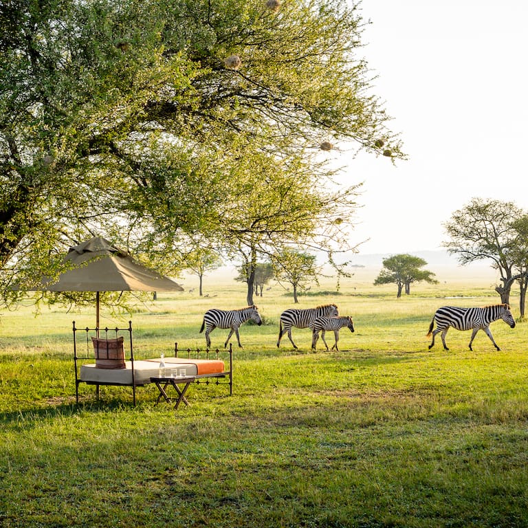 Singita Sabora Photos-2