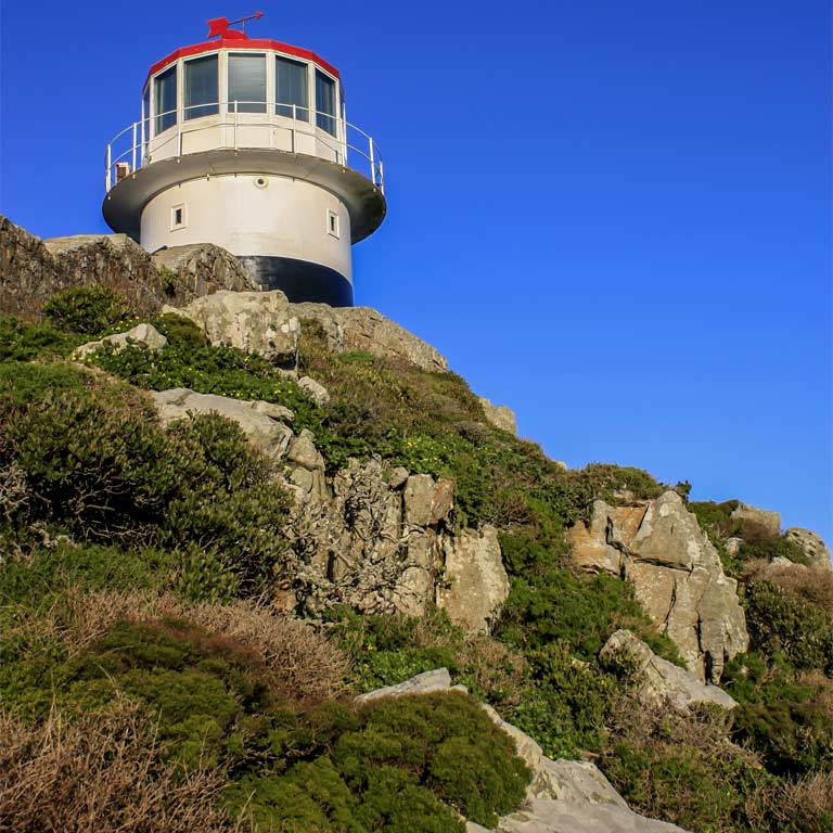 cape-peninsula-experience-01