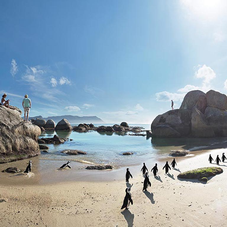 cape-peninsula-experience-03