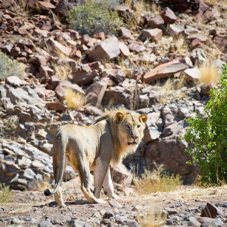 damaraland-camp-06