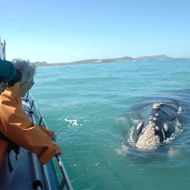 grootbos-02