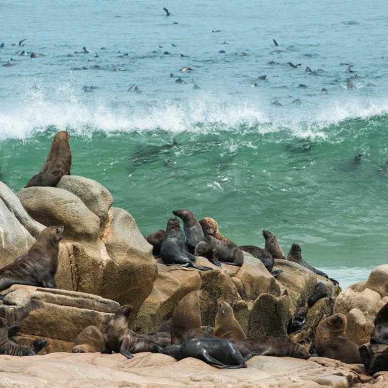 hoanib-skeleton-coast-camp-04