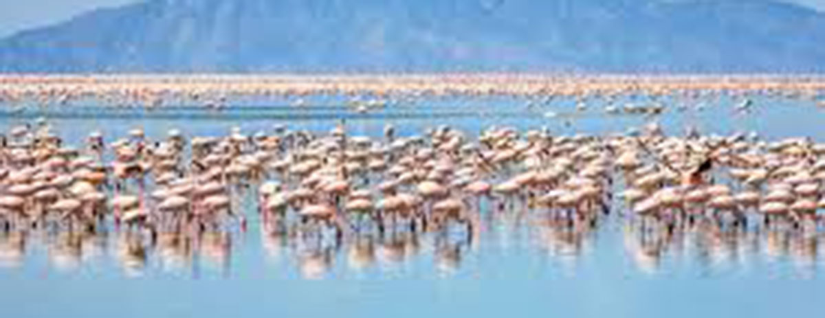 lake-natron-hero-1)