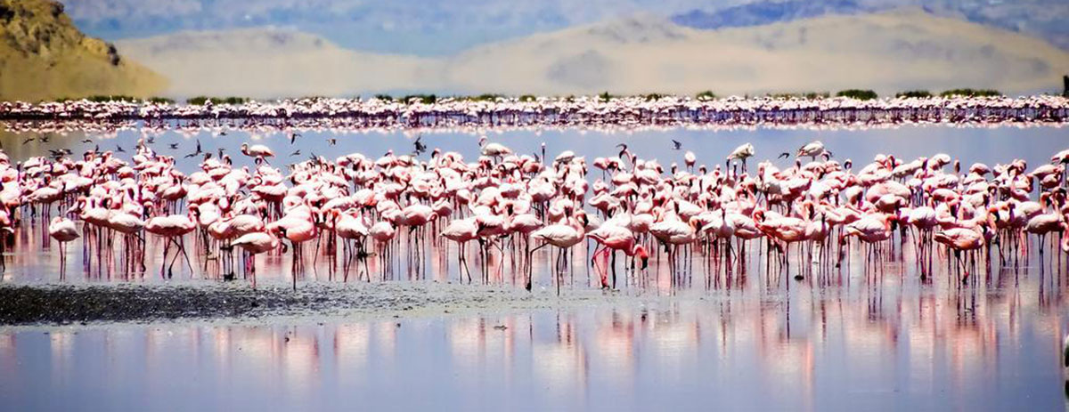 lake-natron-hero-5