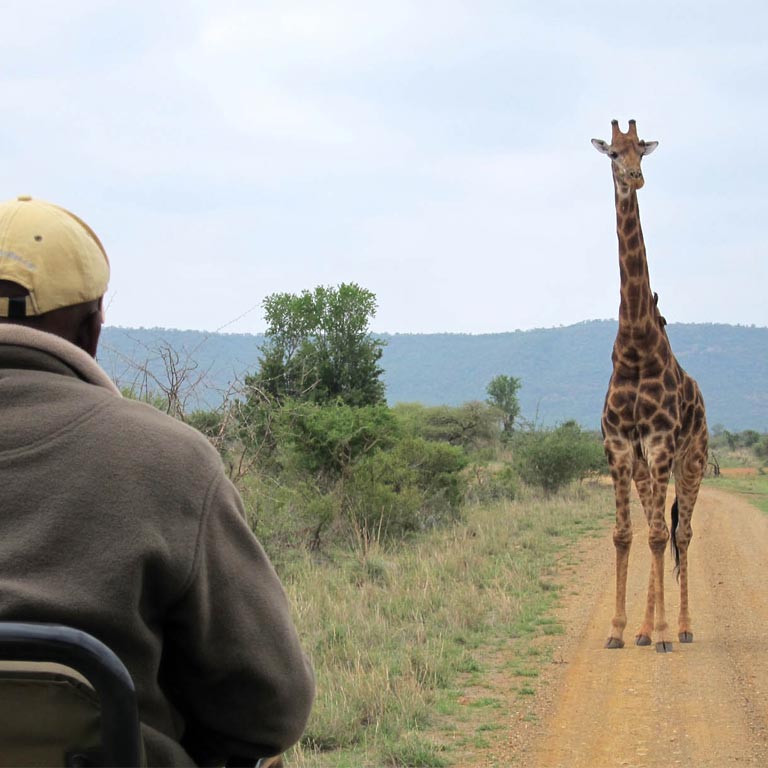 mateya-safari-lodge-03