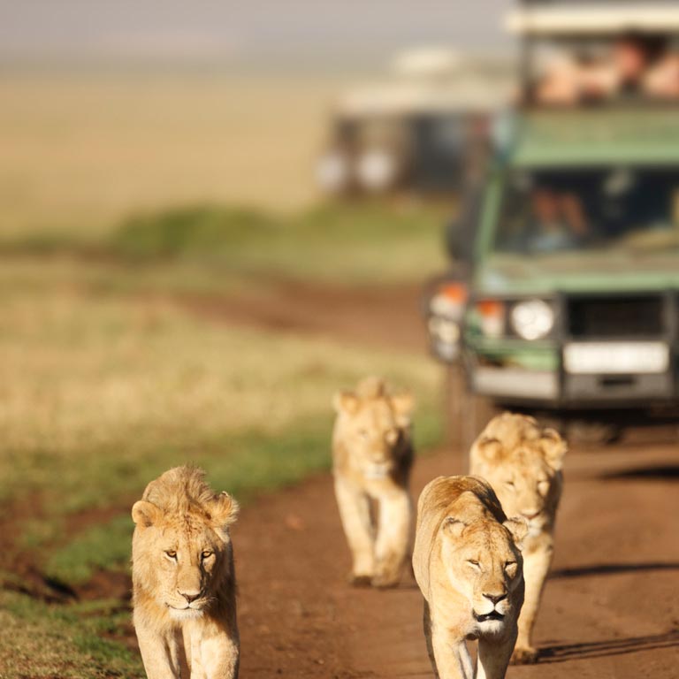 mateya-safari-lodge-06