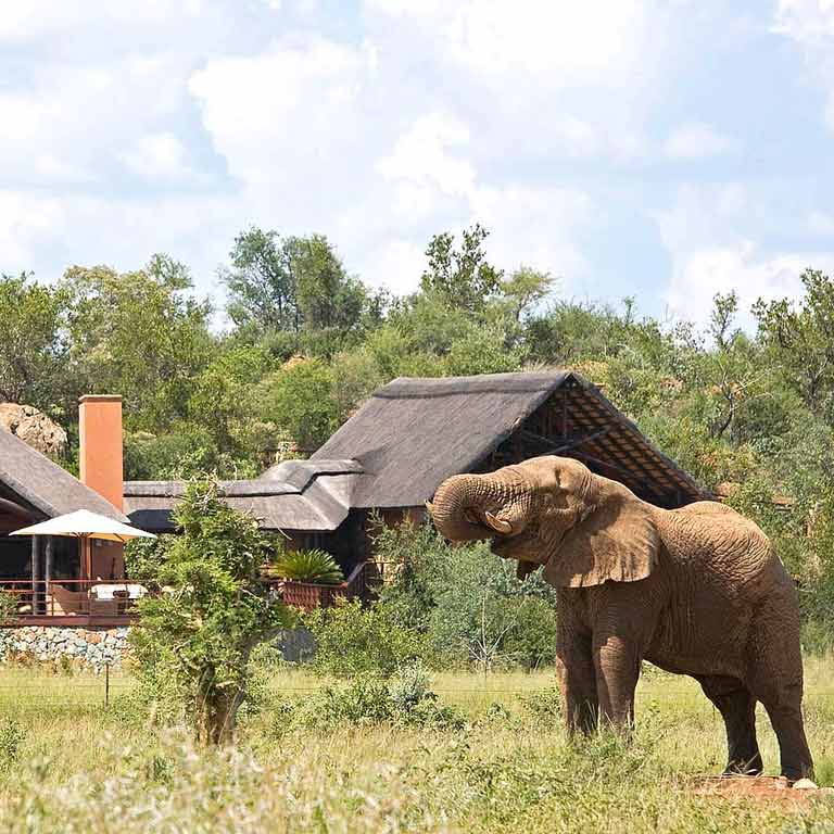 mateya-safari-lodge-07