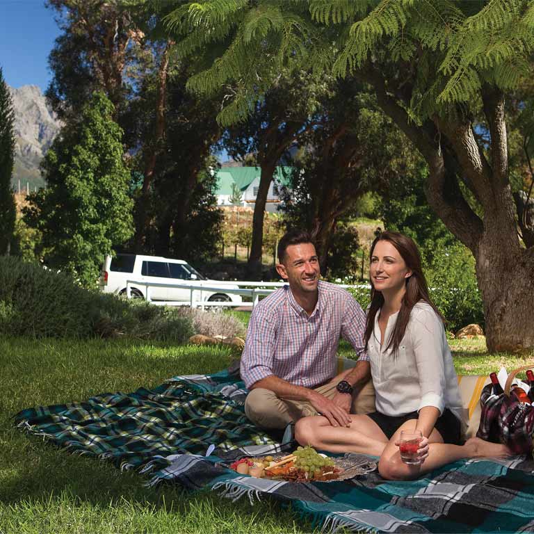 private-cape-winelands-tour-01