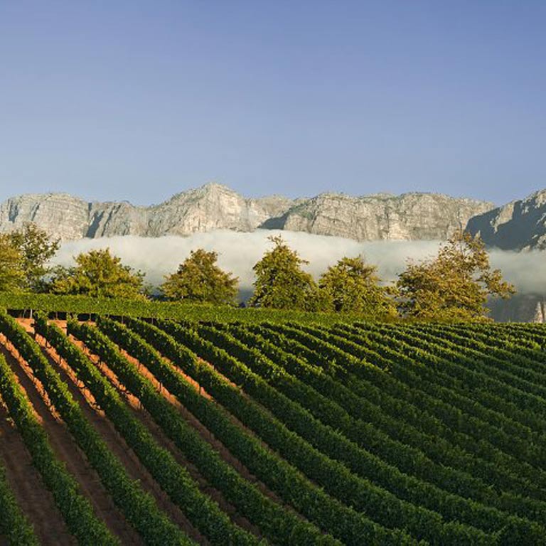 private-cape-winelands-tour-08