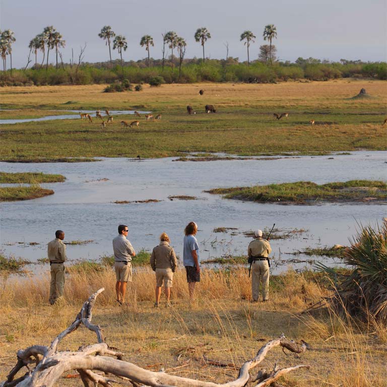 sandibe-okavango-safari-lodge-04