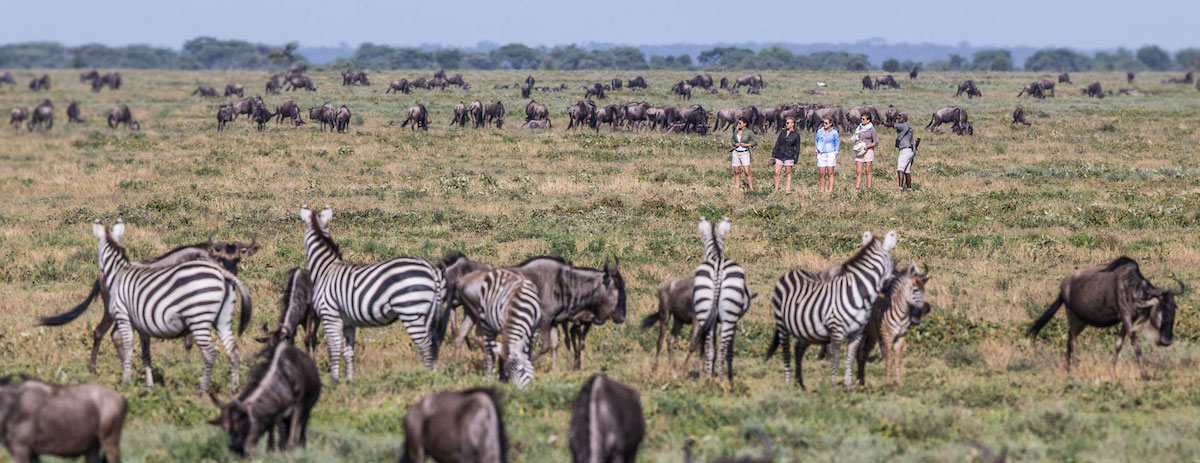 southern-serengeti-4