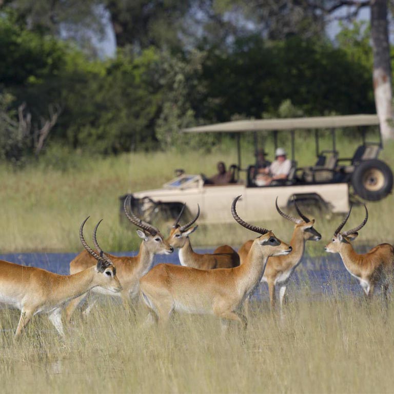 vumburu-plains-camp-02